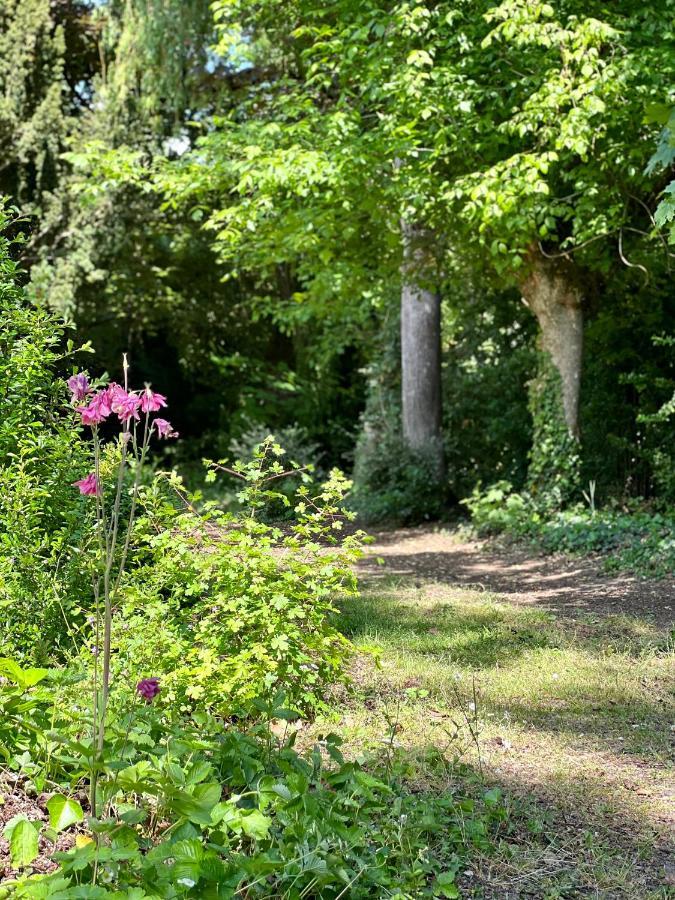 Les Jardins De L'Hermitage Cellettes  Bagian luar foto